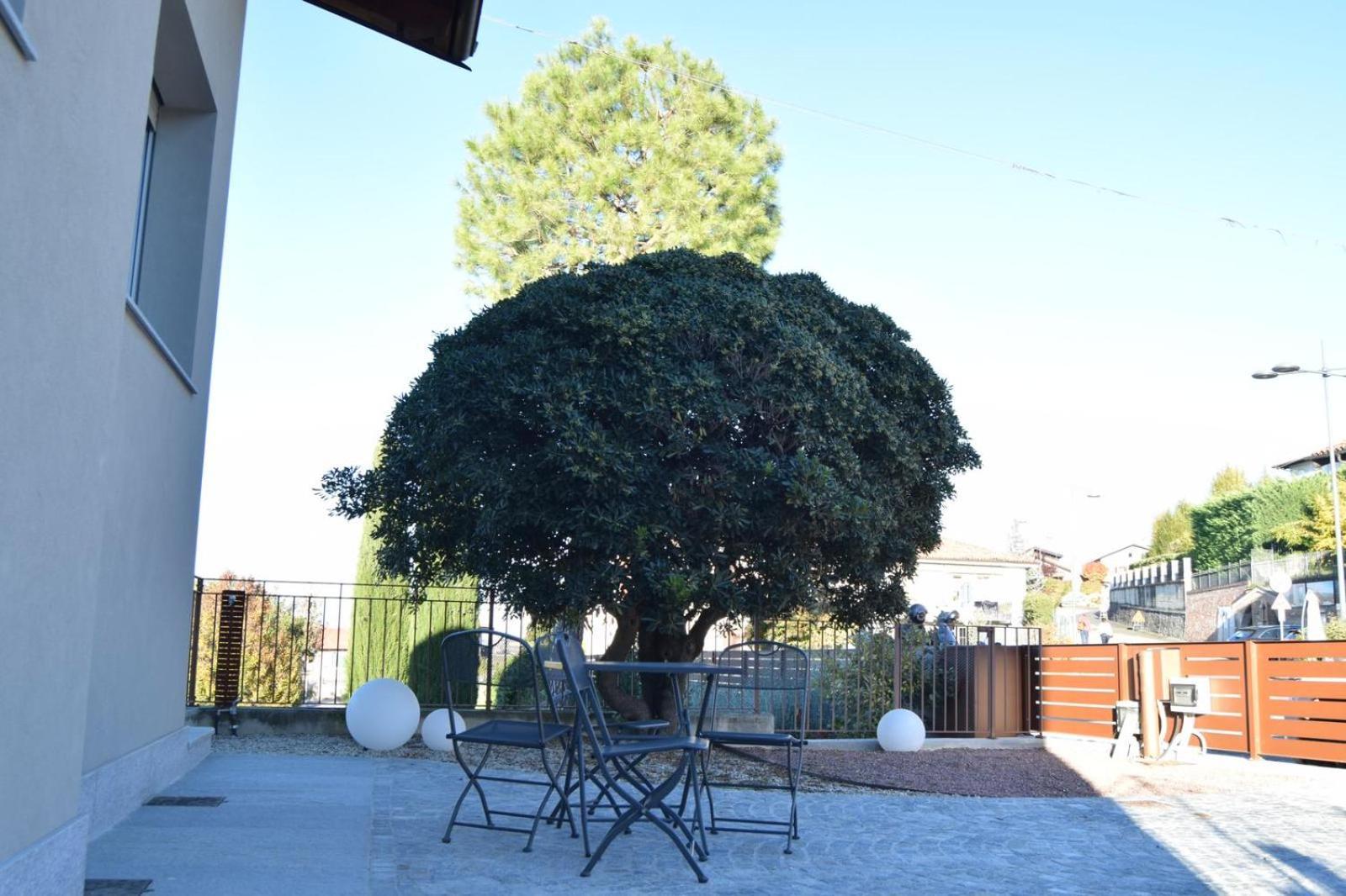 Apartment Fenocchio's House Castiglione Falletto